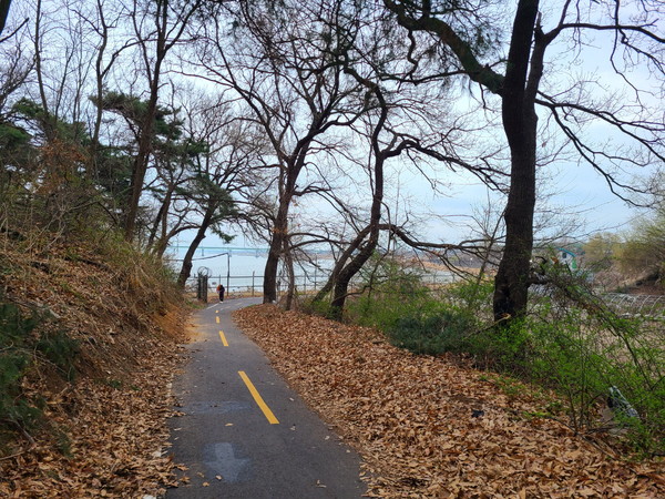 김포한강야생조류생태공원 직전, 작은 야산을 돌아나간다
